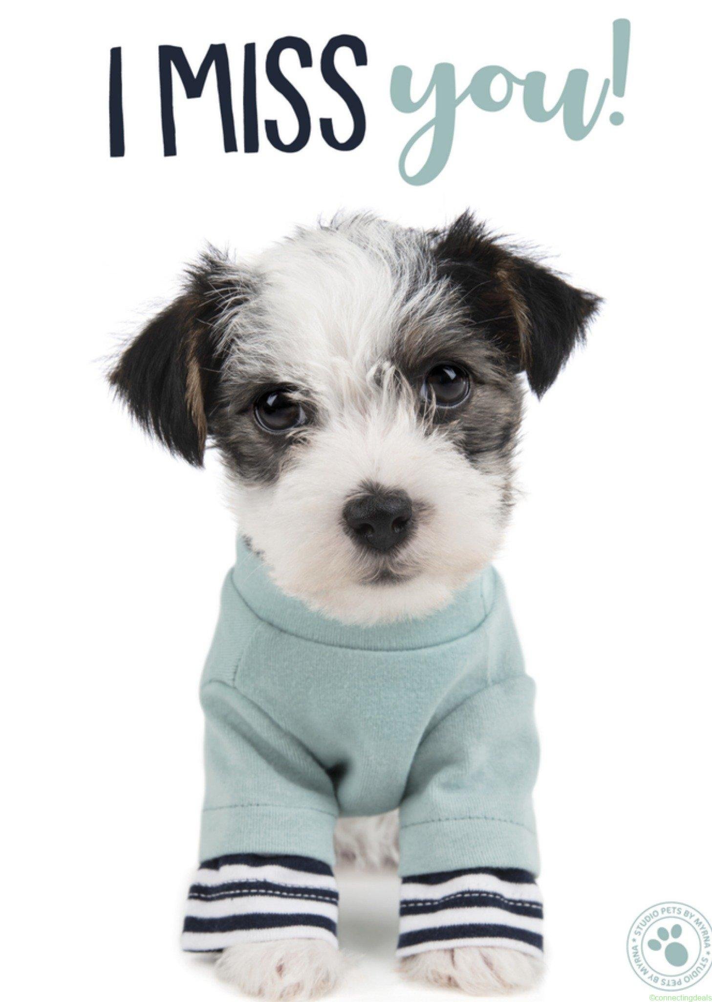 Studio Pets Liefdes kaart Dier Large