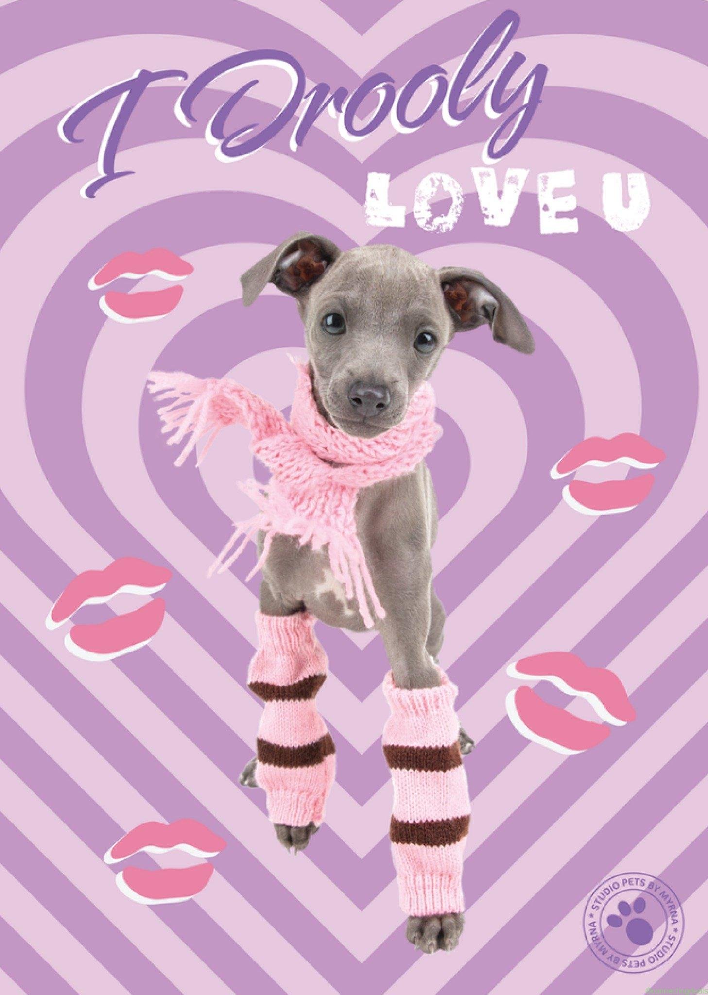 Studio Pets Verjaardagskaart I drooly love