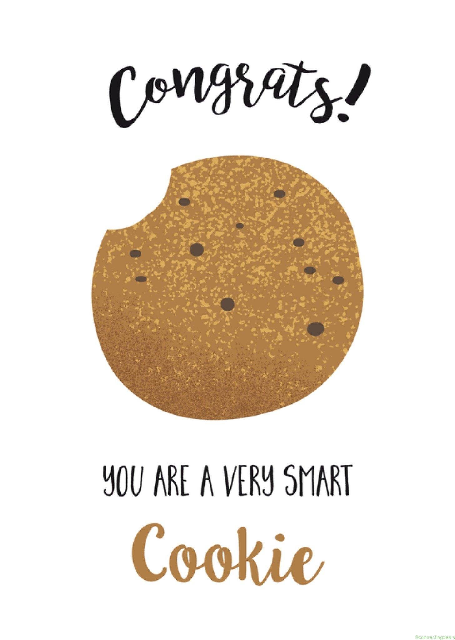 Tsjip Geslaagd kaart Smart cookie Postcard