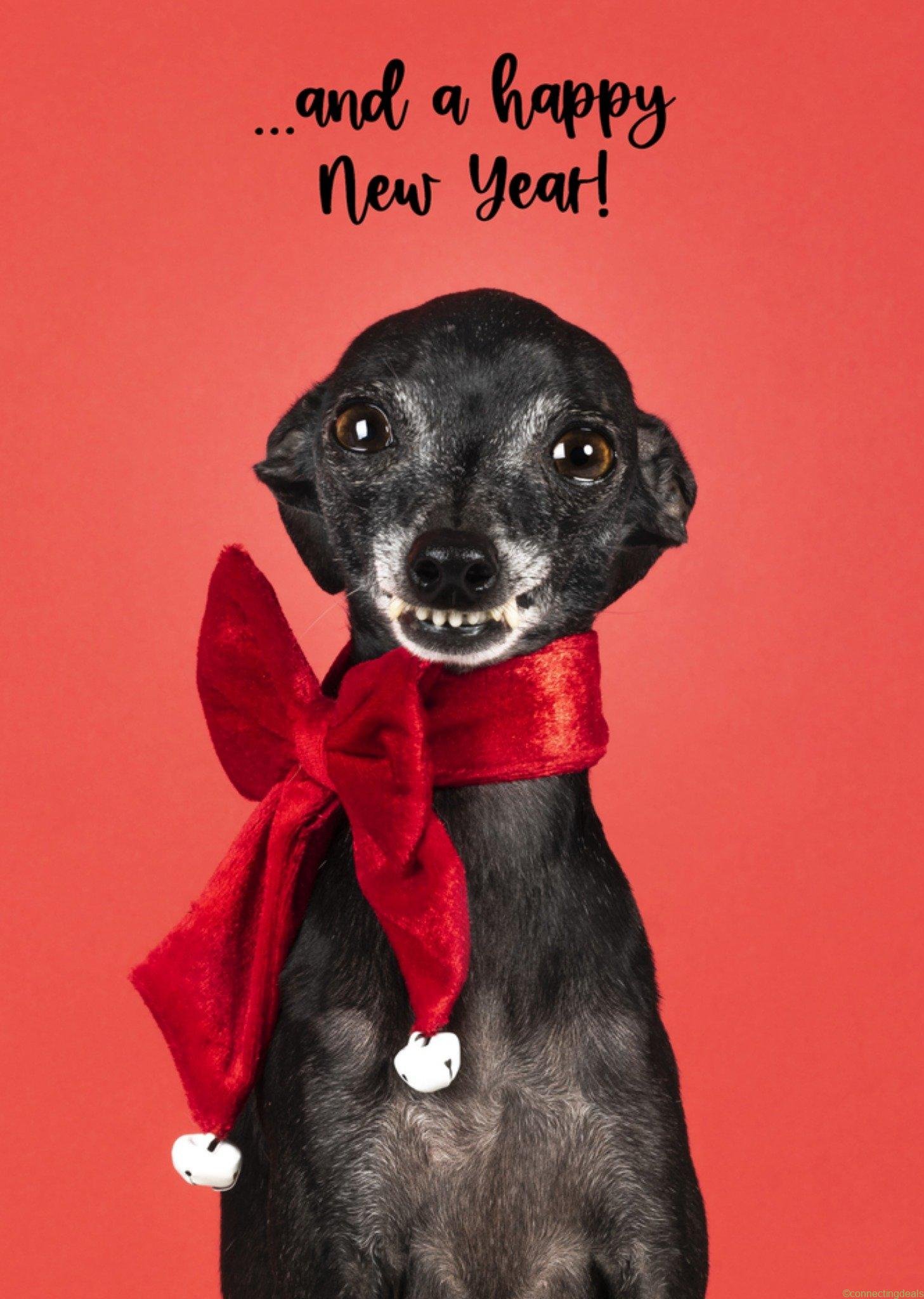 Catchy Images Kerstkaart dieren and a happy new