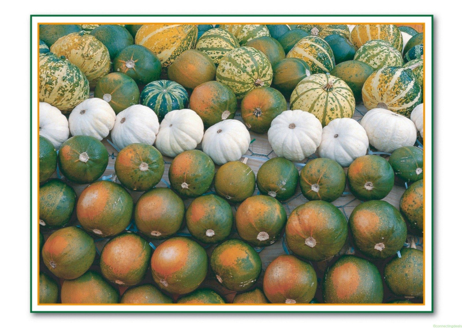 TMS Halloweenkaart pompoenen Postcard