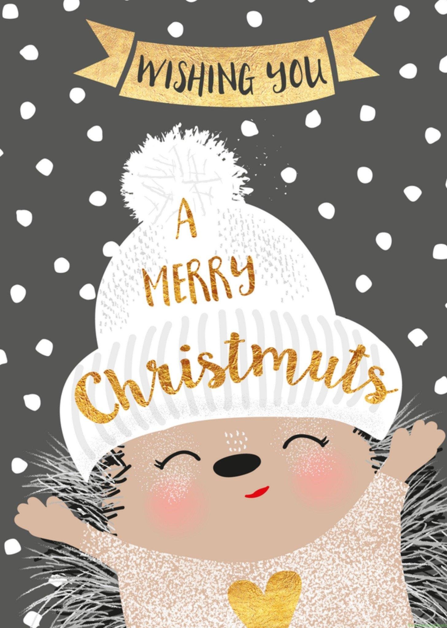 Tsjip Kerstkaart egeltje muts Giant