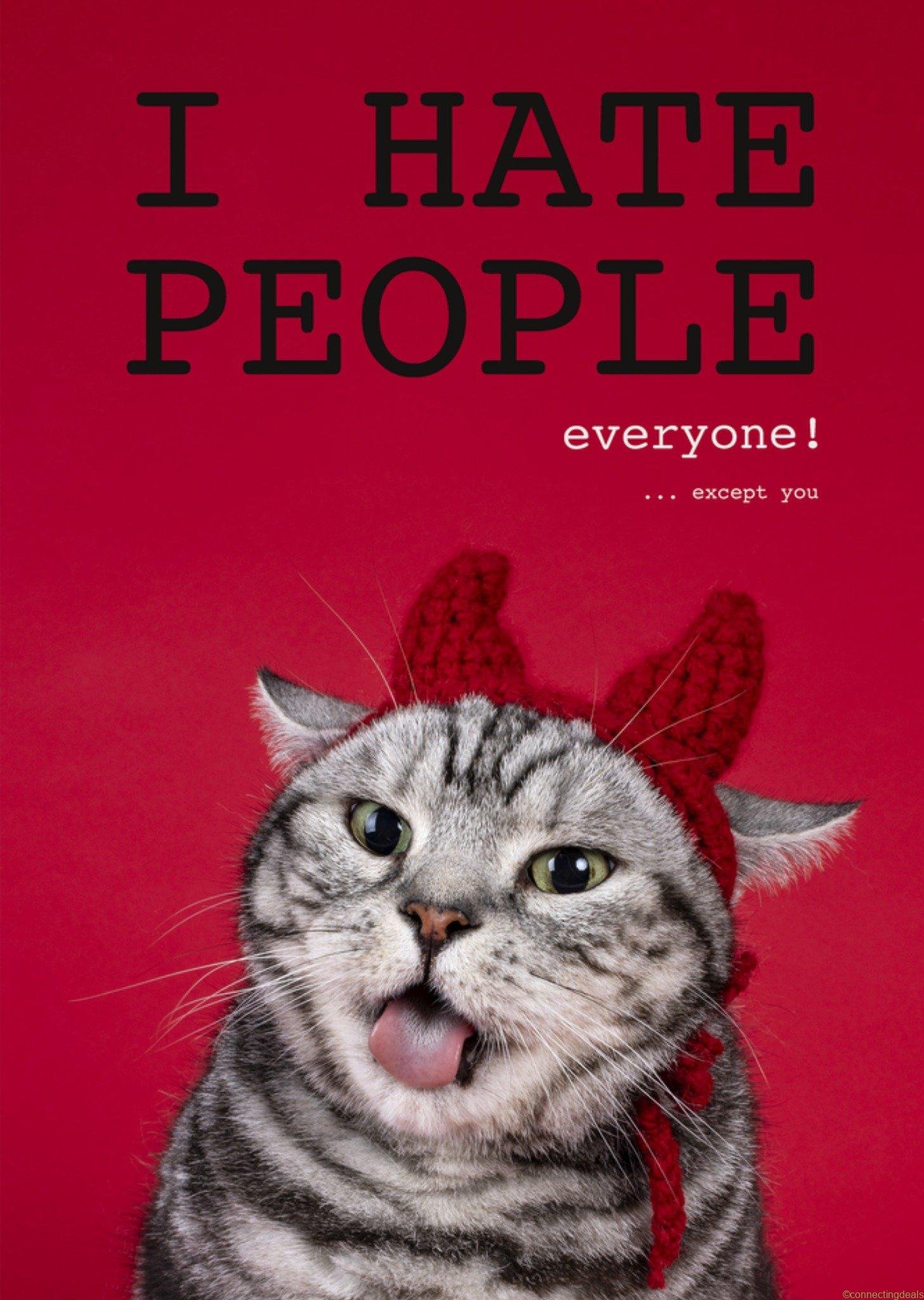 Catchy Images Valentijnskaart Duivel kat