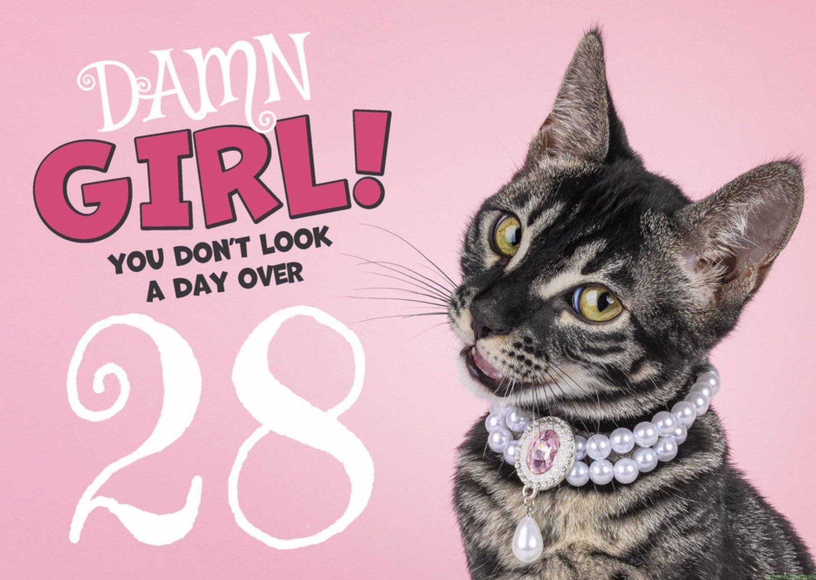 Catchy Images Verjaardagskaart Damn Girl You