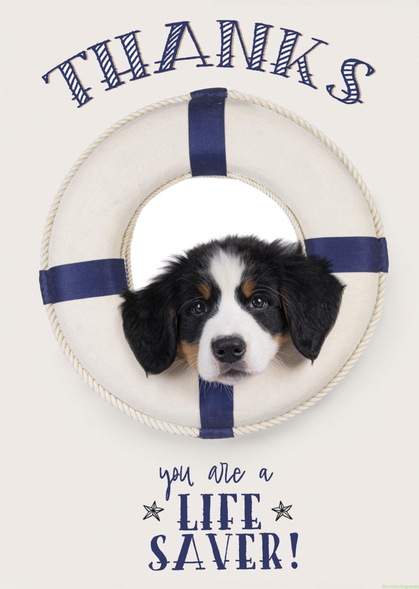 Catchy Images Bedanktkaart Thanks you are a