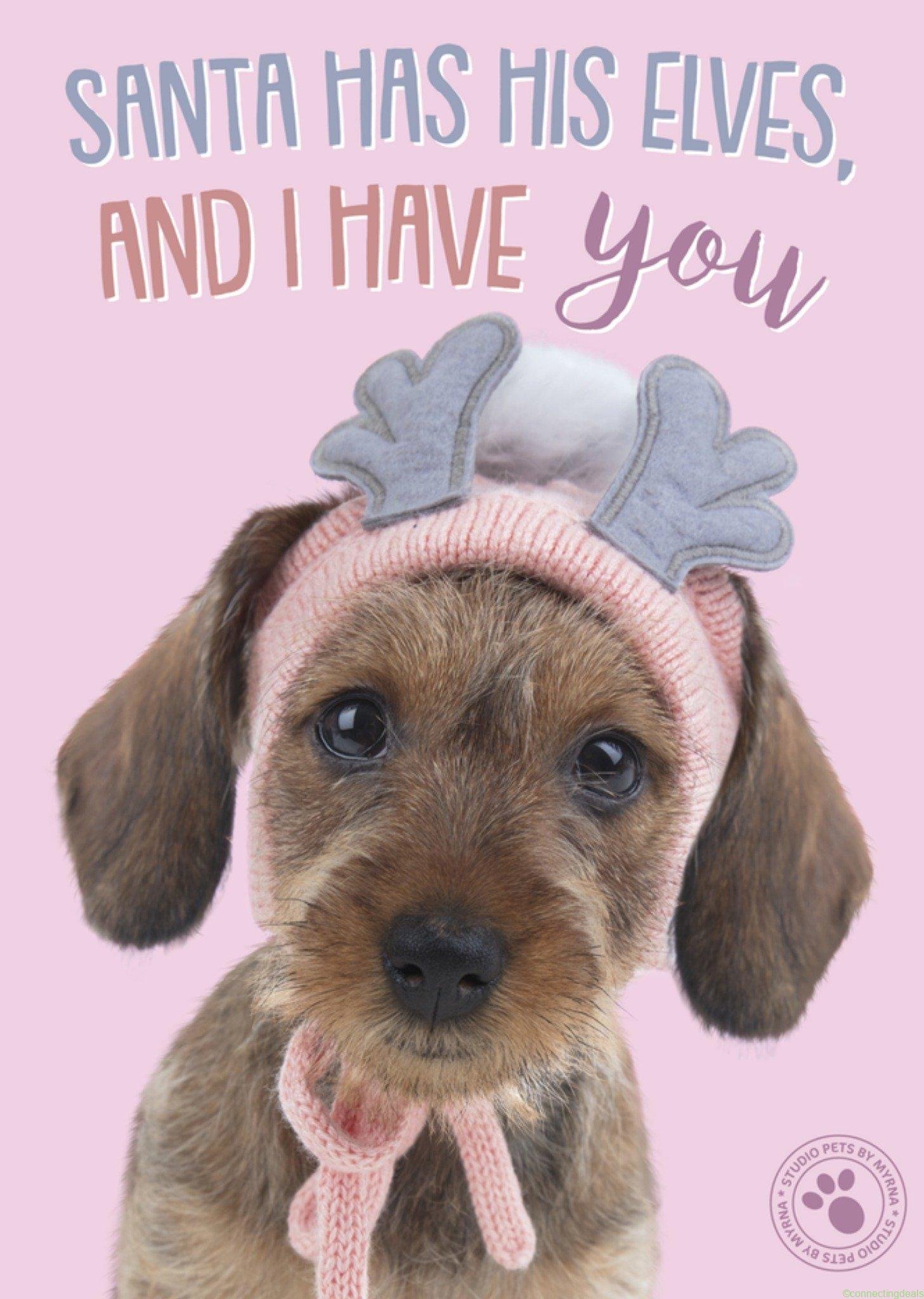 Studio Pets Kerstkaart kleindochter