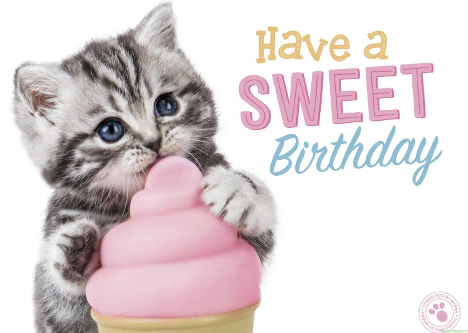 Studio Pets Verjaardagskaart Dieren Giant