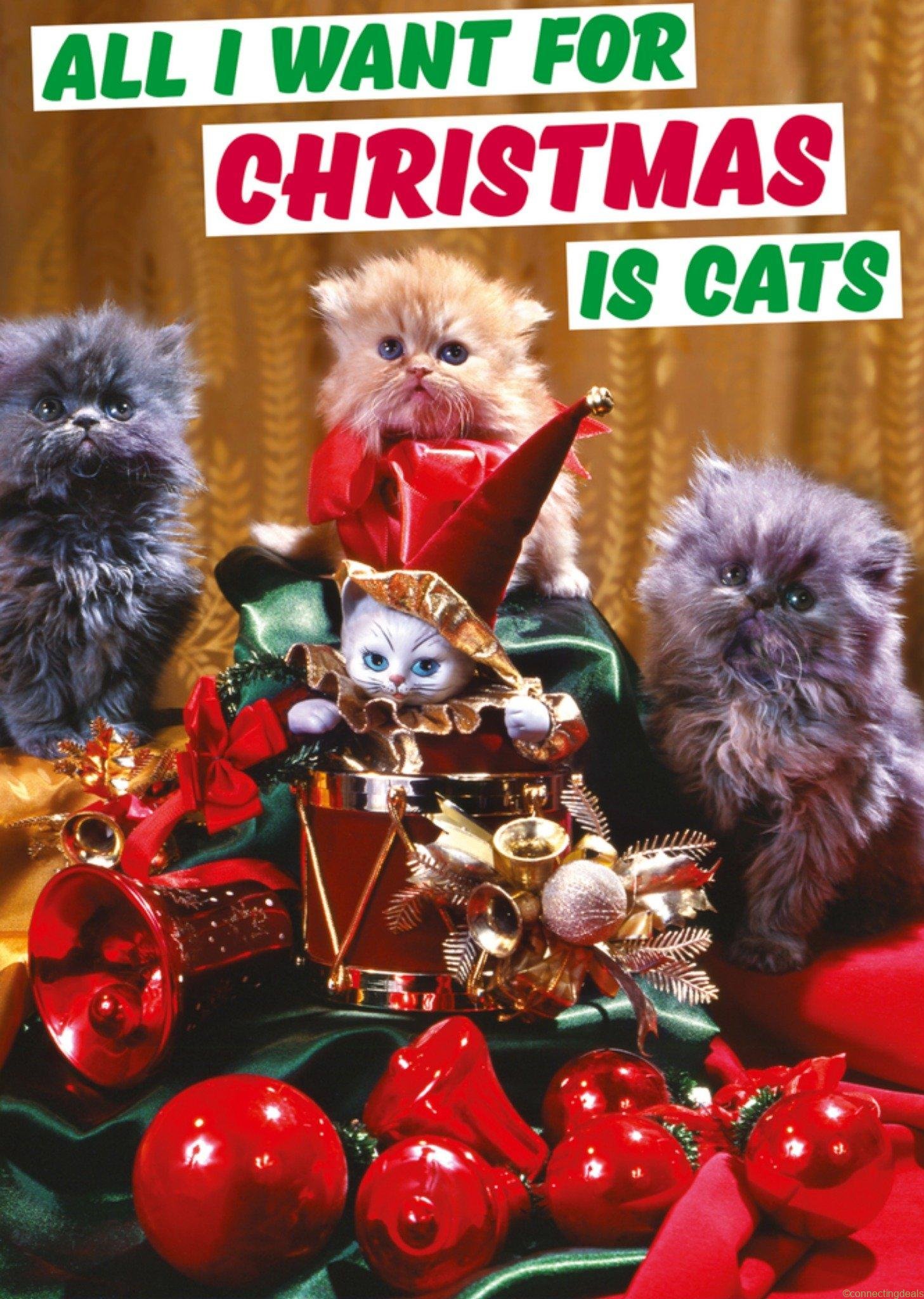 Dean Morris Kerstkaart katten Standard