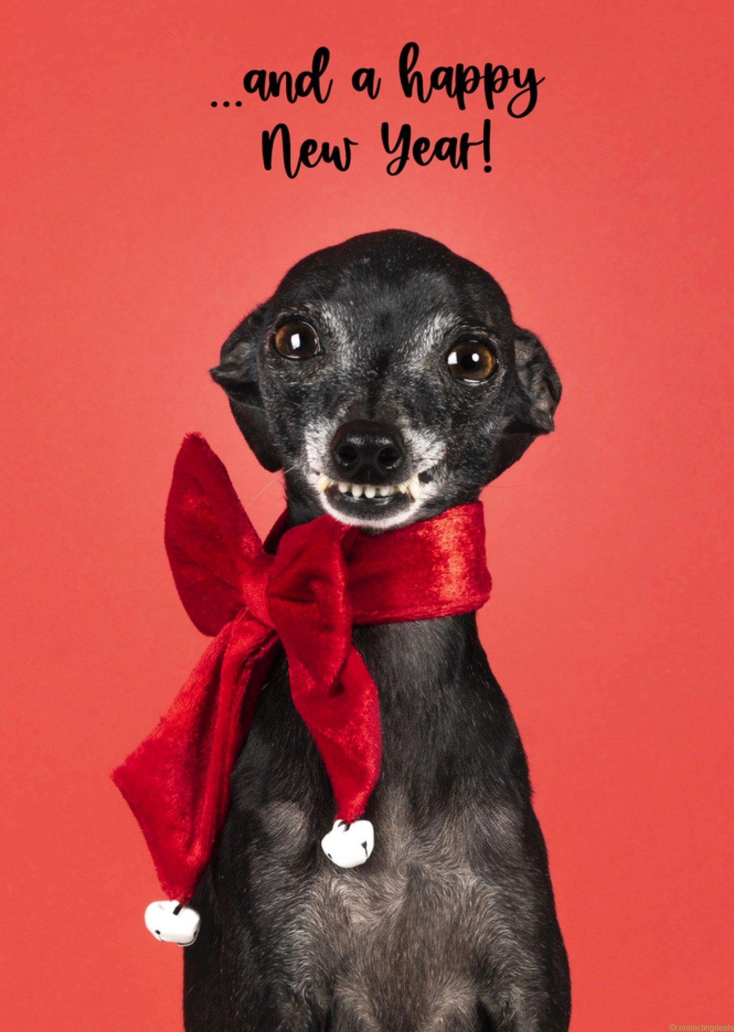 Catchy Images Kerstkaart dieren and a happy