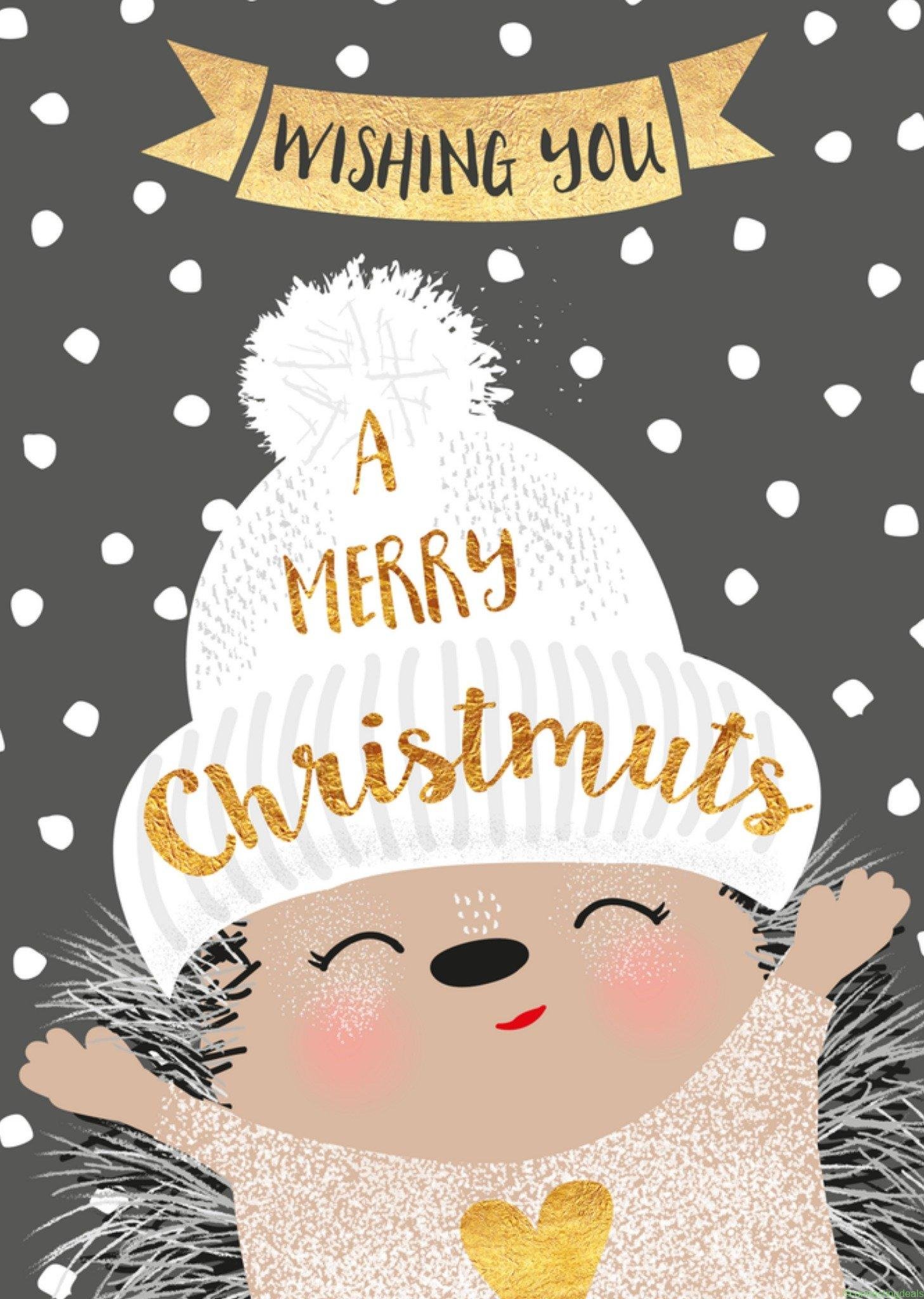 Tsjip Kerstkaart egeltje muts Postcard