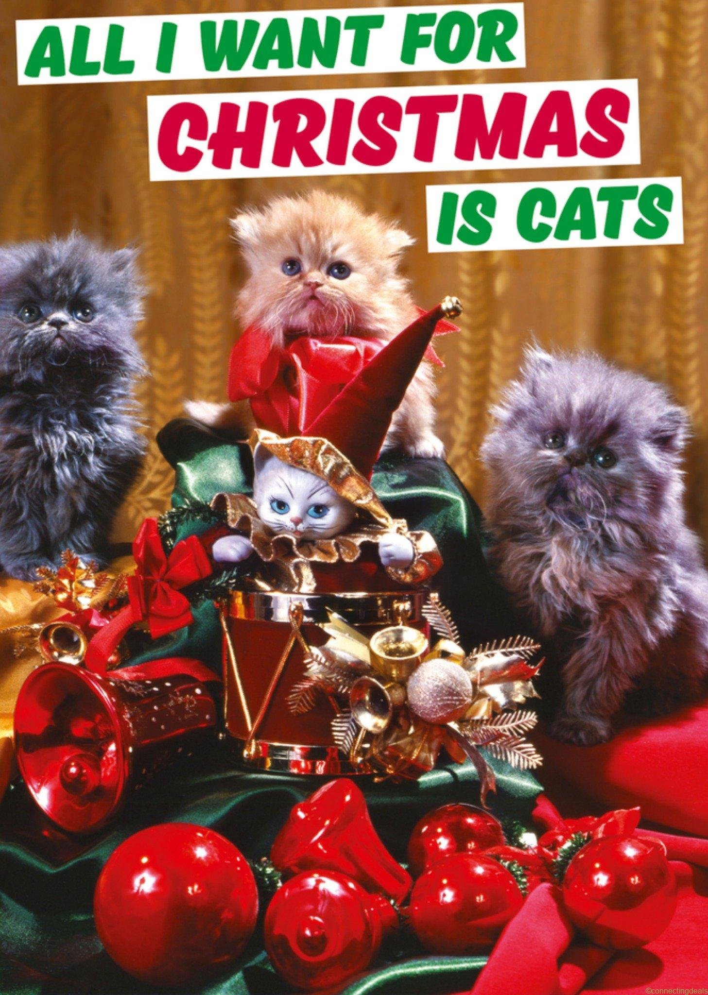 Dean Morris Kerstkaart katten Postcard