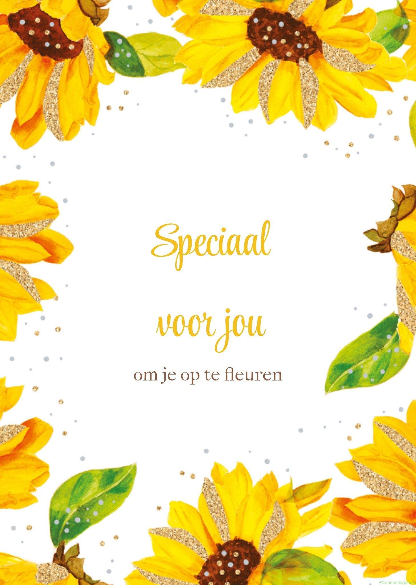 TMS Denken aan Zonnebloemen Postcard