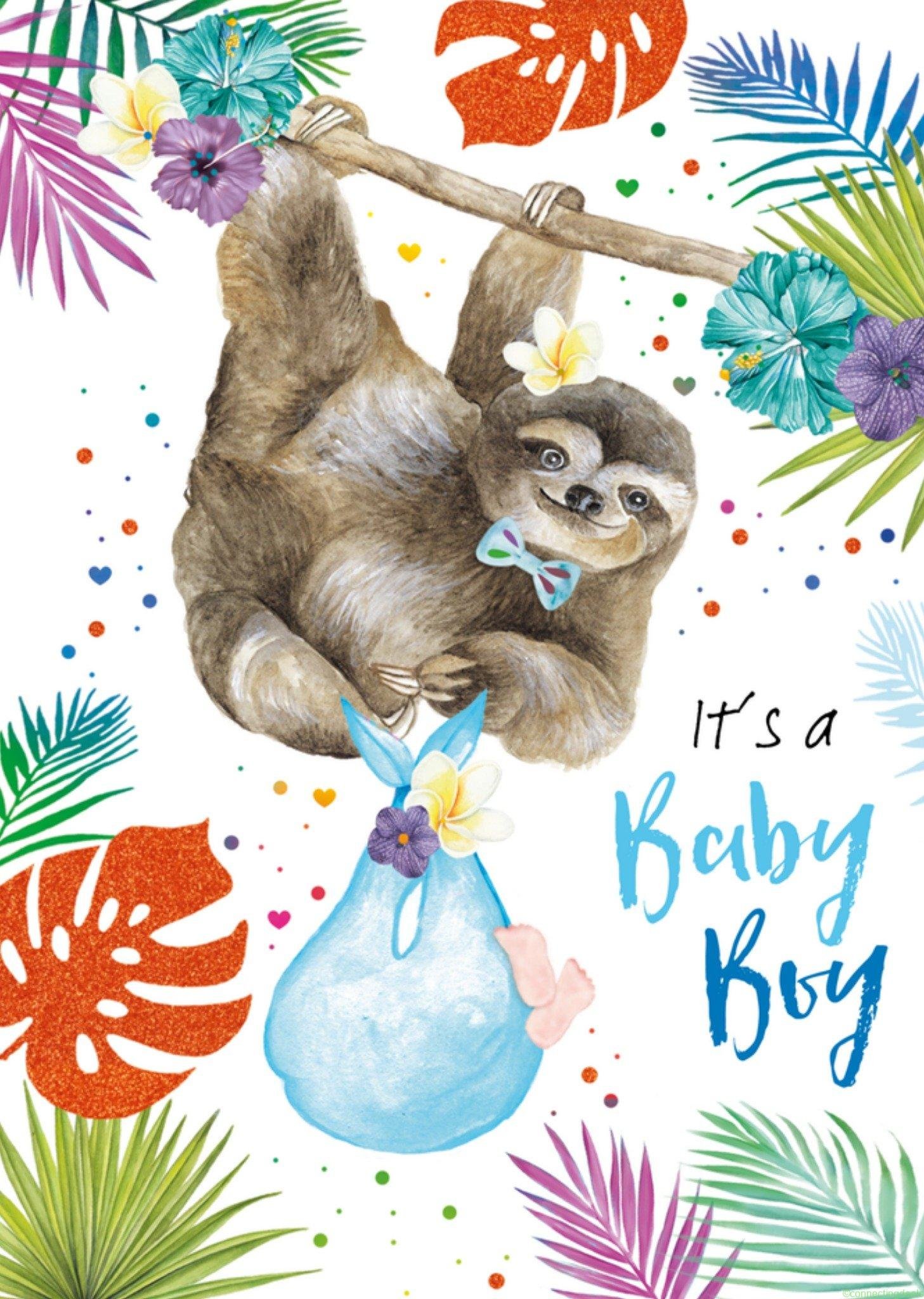 TMS Geboortekaart Jongen Luiaard Postcard