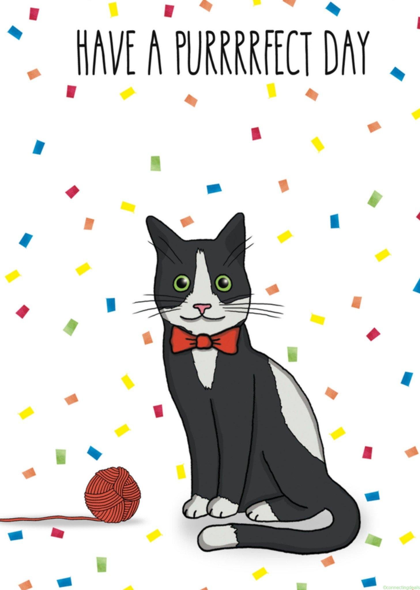 All the best cards Verjaardag Kat Standard