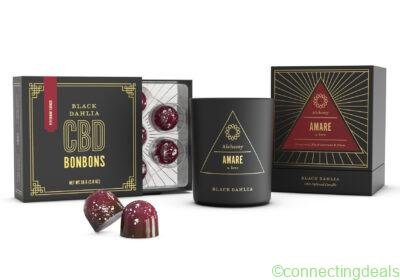 love-set-on-transparent-scaled-e1673130973119-1