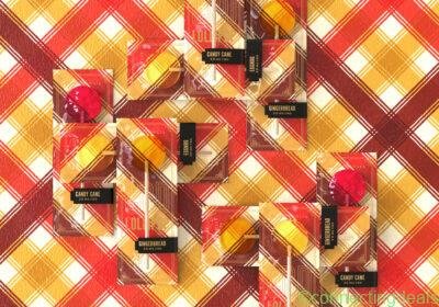 pops-set-on-plaid-scaled-e1698792548651-1