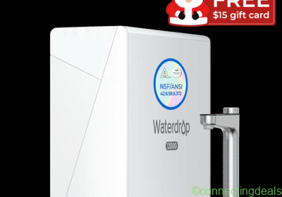 ui-wd-x12-sale-page-25christmas-gift-card