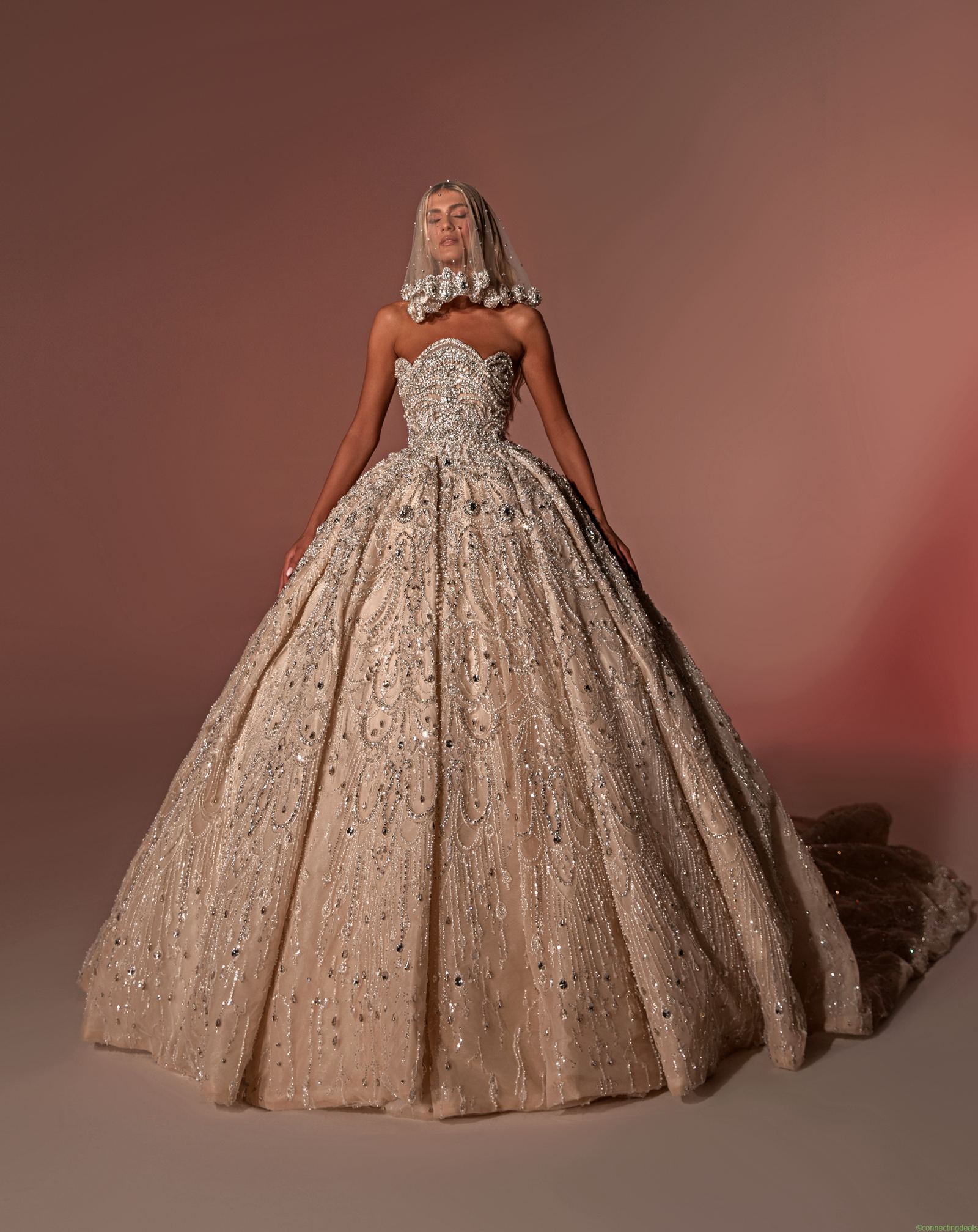 Unique Corset In Embroidered Bridal Dress With