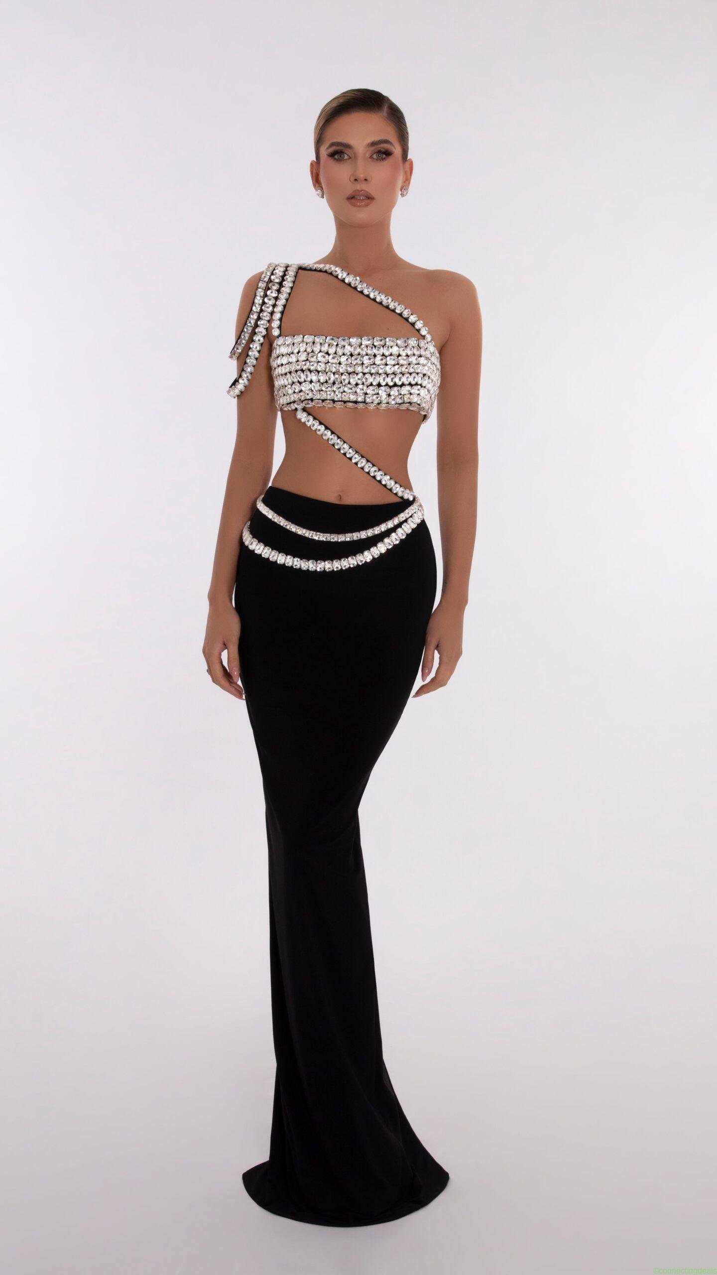 Silver Crop Top With Black Skirt US Edition