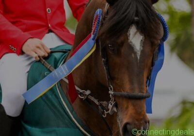 corros-bestsellers-331852