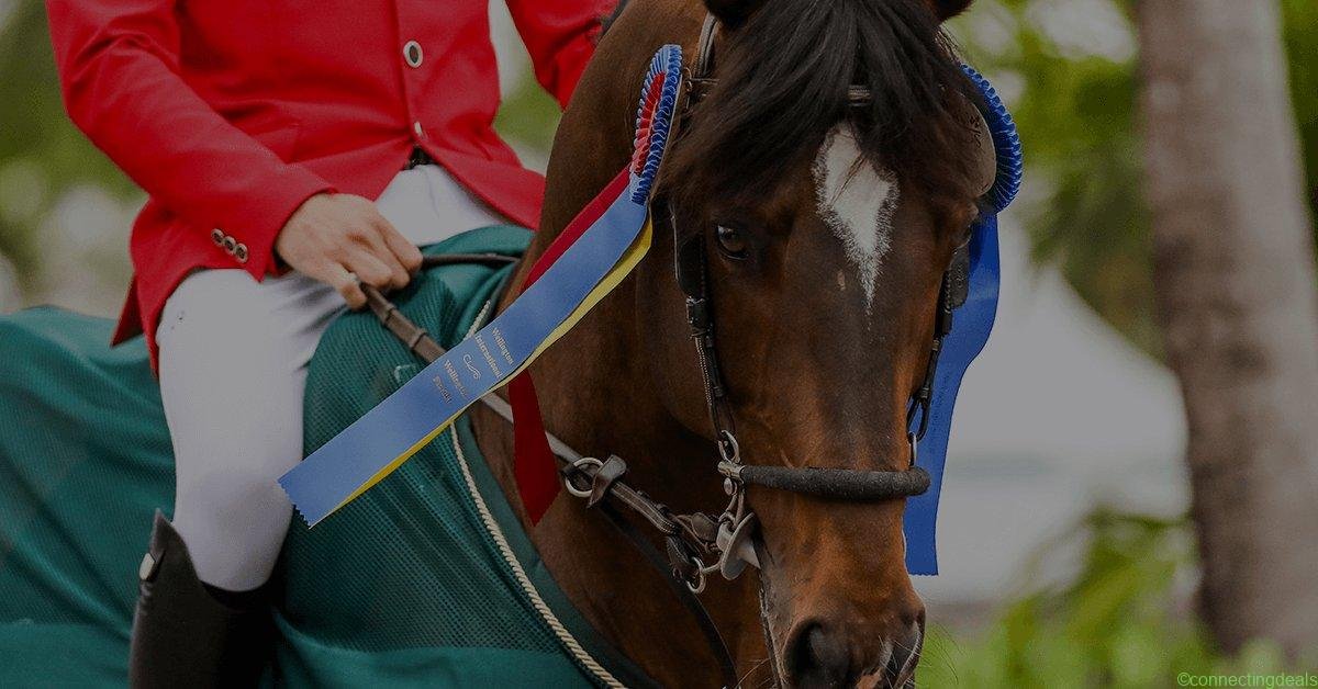 Bestsellers in United States