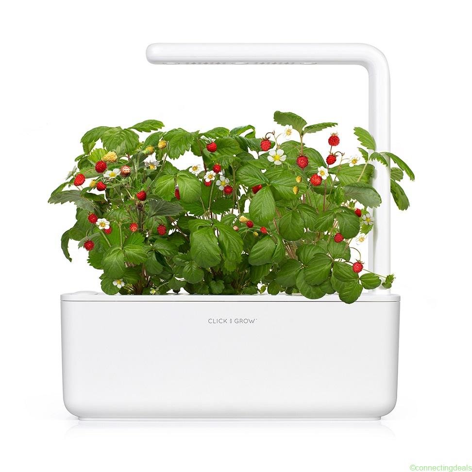 Banner for Smart Garden 3 with Mini Tomato, White in United