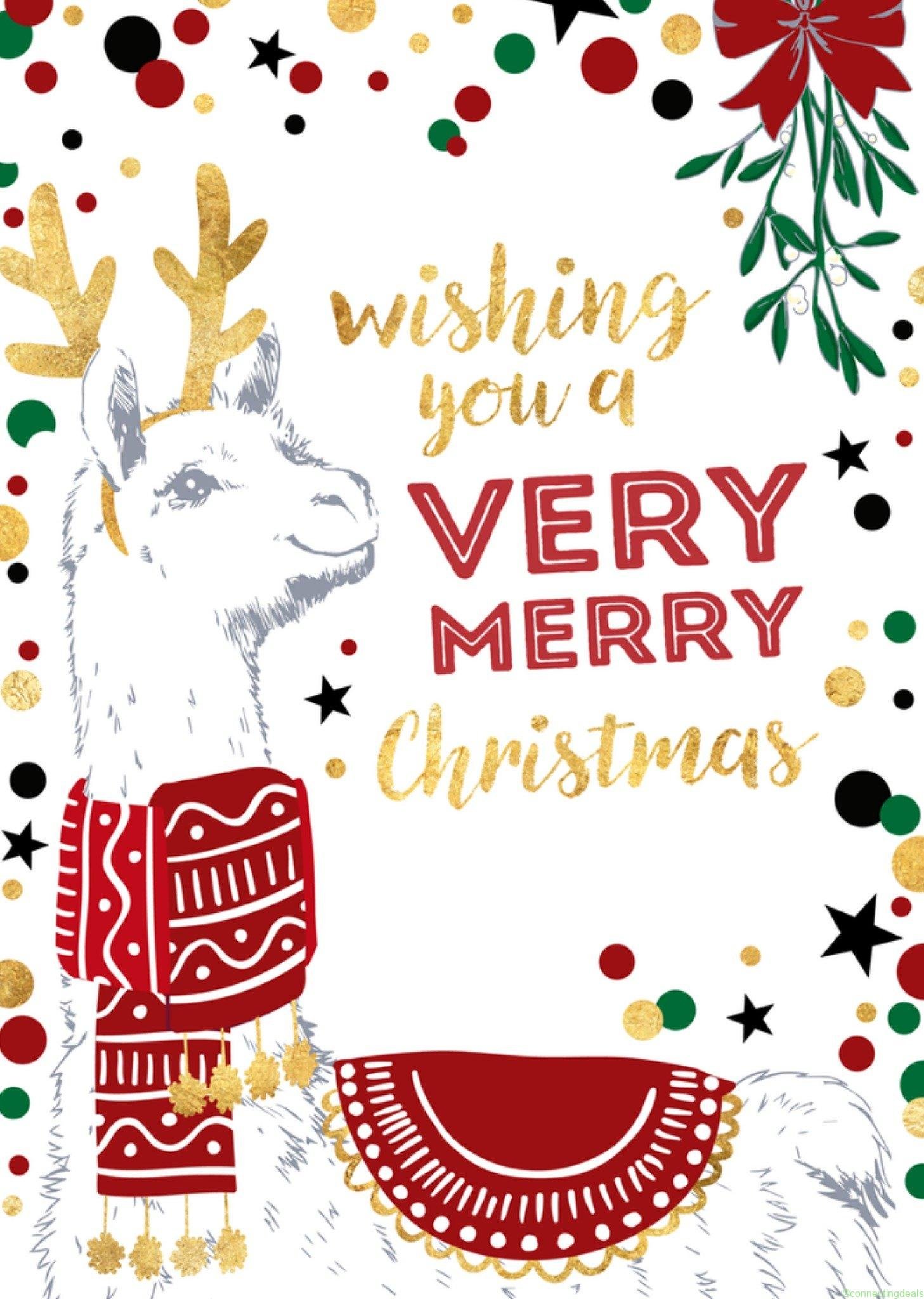 TMS Kerst Lama Stippen Postcard