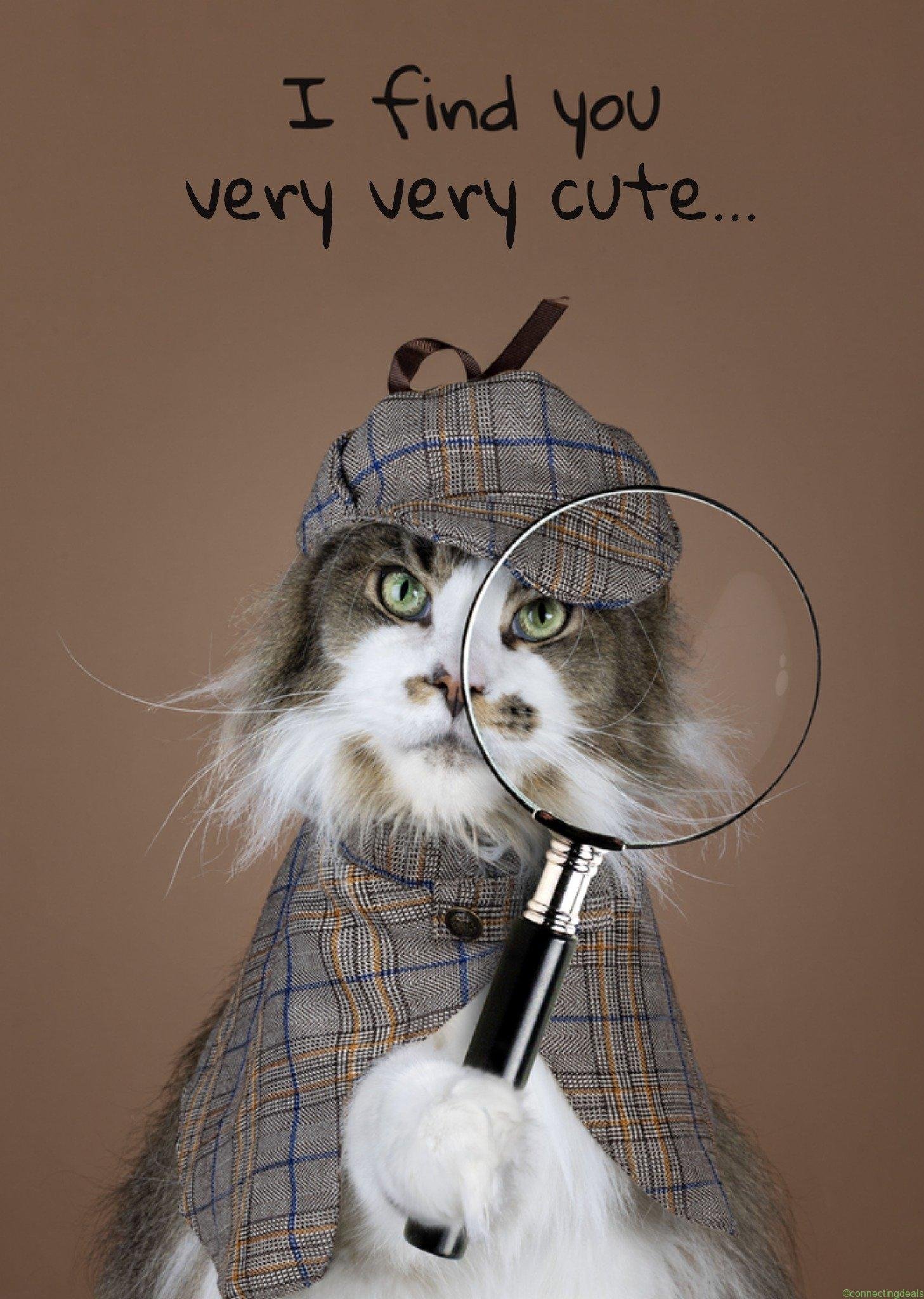 Catchy Images Valentijnskaart I find you very