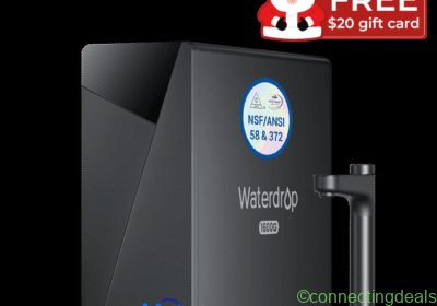 ui-wd-x16-sale-page-25christmas-gift-card