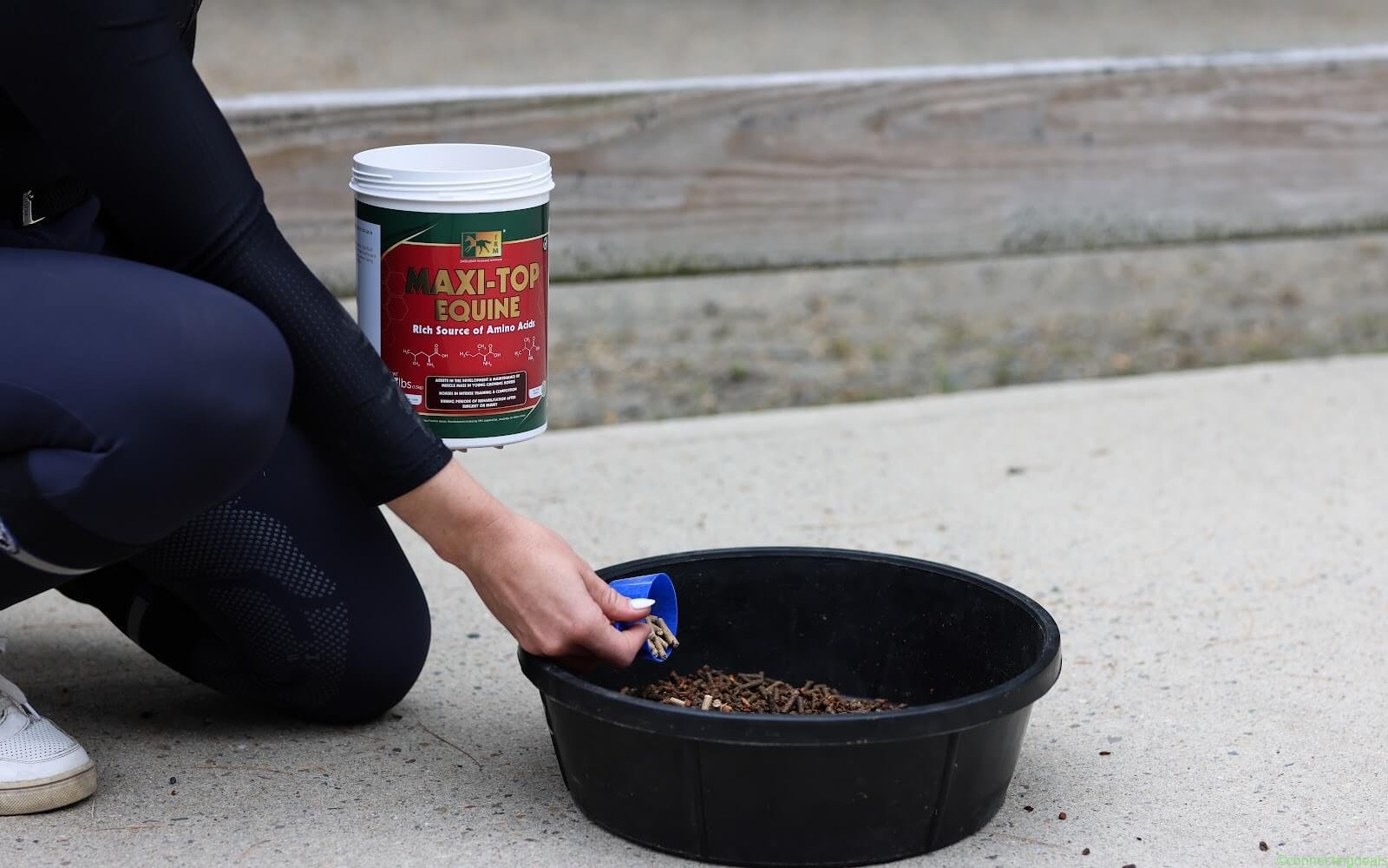 Horse Supplements | Joint, Digestive & Coat Care in United