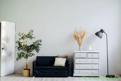 1 BHK Apartment for Rent – Hansi in Hansi