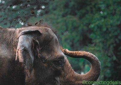 Free ad: 3-Door Mirrored Wardrobe – Caen in Caen. 3-Door Mirrored Wardrobe – Caen in Caen