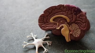 Free classified ad: GP Receptionist – Part Time – Freetown in Freetown. Posted on Connecting Deals. GP Receptionist – Part Time – Freetown – Job vacancy in Freetown. Free classified ads on Connecting Deals.