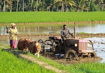 Home Insurance – Jolarpet in Jolarpet