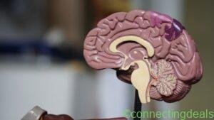 Physiotherapist – Band 6 – Braunschweig in Braunschweig