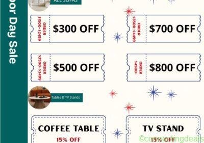 2025 Labor day sale newsletter in Chicago