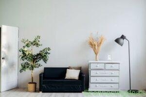 3 BHK Independent House on Rent – Janakpuri in Janakpuri