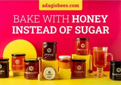 Adagio Bees - Honey Collection in Singapore