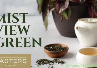 Adagio Master Green Teas in Bangkok