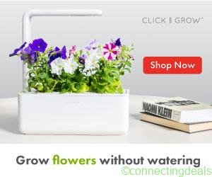 Banner for Smart Garden 3 with Petunia Lifestyle