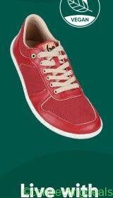 Free ad: Belenka General in London. Belenka General in London