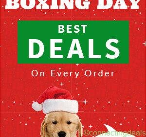 Boxing day 2018 in New York