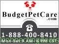 BudgetPetCare: Online Pet Supplies Store in New York