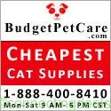 Cheapest Cat Supplies Online in New York