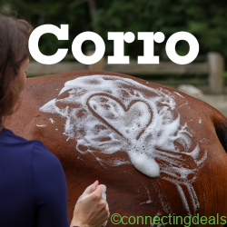 Corro Grooming in New York NY US
