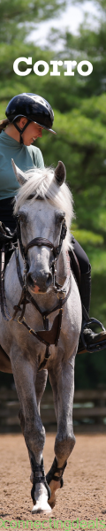 Corro Horse Rider