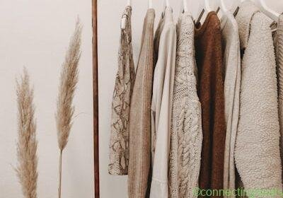 Cotton Saree – Handloom – Pilani in Pilani