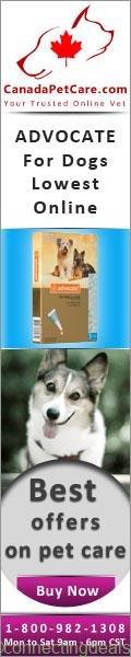 CPC | US | Advocate | Dogs |