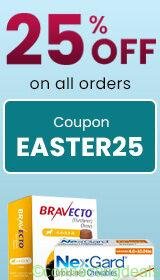 Easter Sale in New York