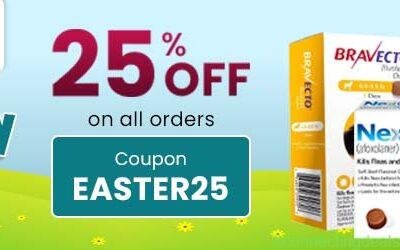 Free ad: Easter Sale in New York. Easter Sale in New York